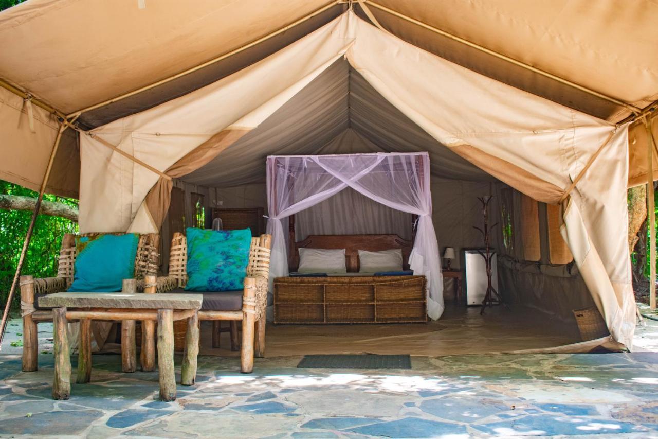 Vila Firefly Eco Retreat Shimoni Exteriér fotografie