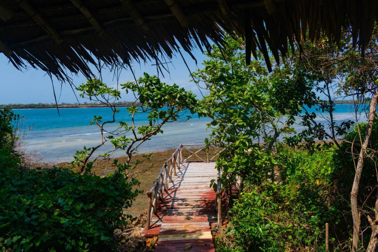 Vila Firefly Eco Retreat Shimoni Exteriér fotografie