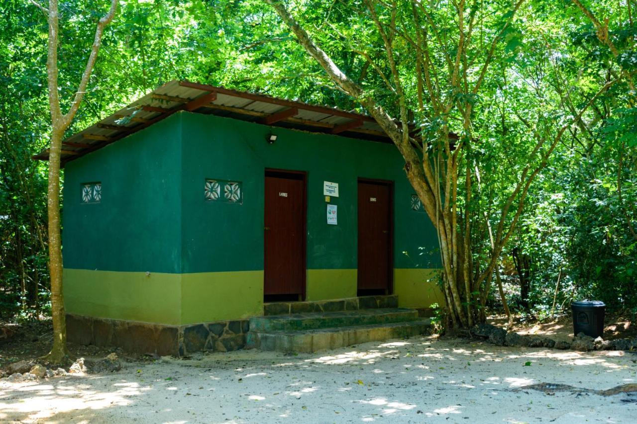 Vila Firefly Eco Retreat Shimoni Exteriér fotografie