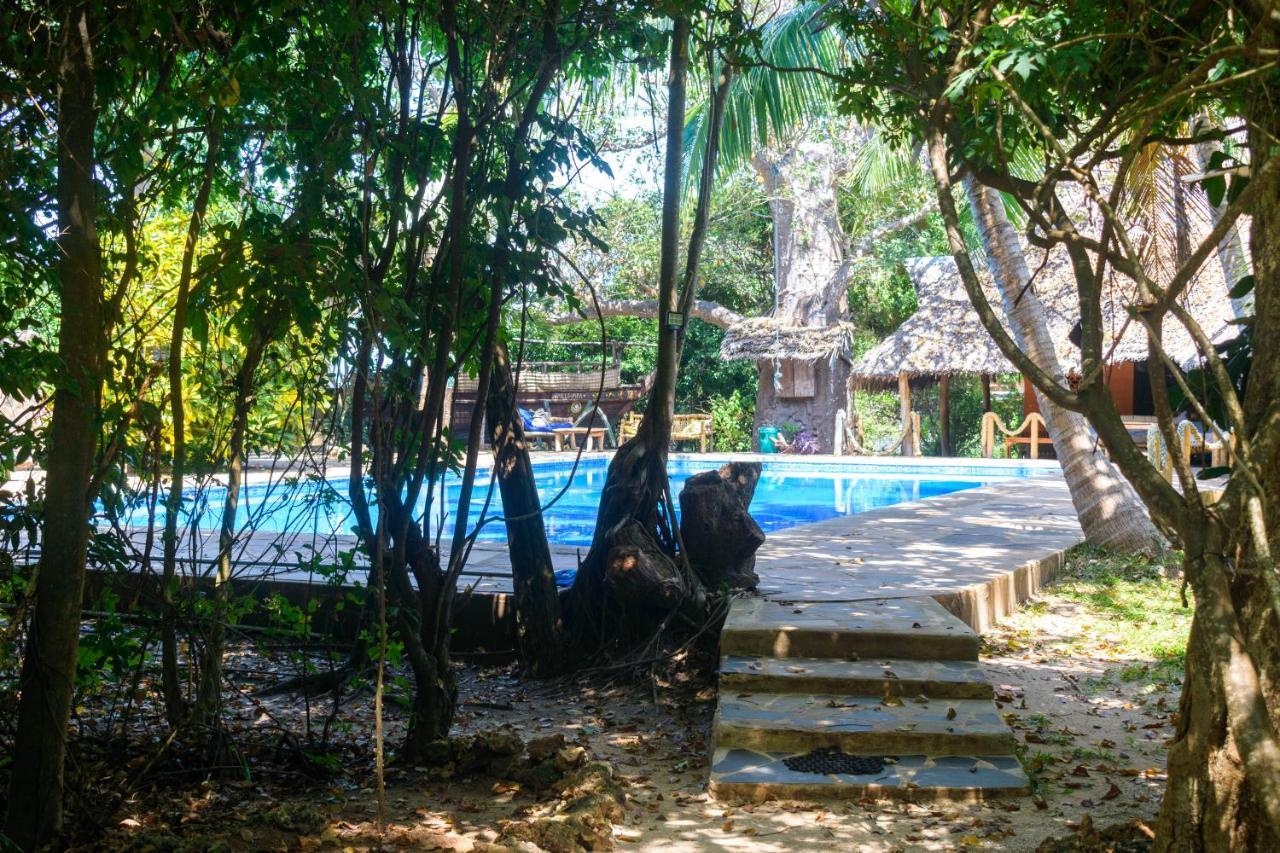 Vila Firefly Eco Retreat Shimoni Exteriér fotografie