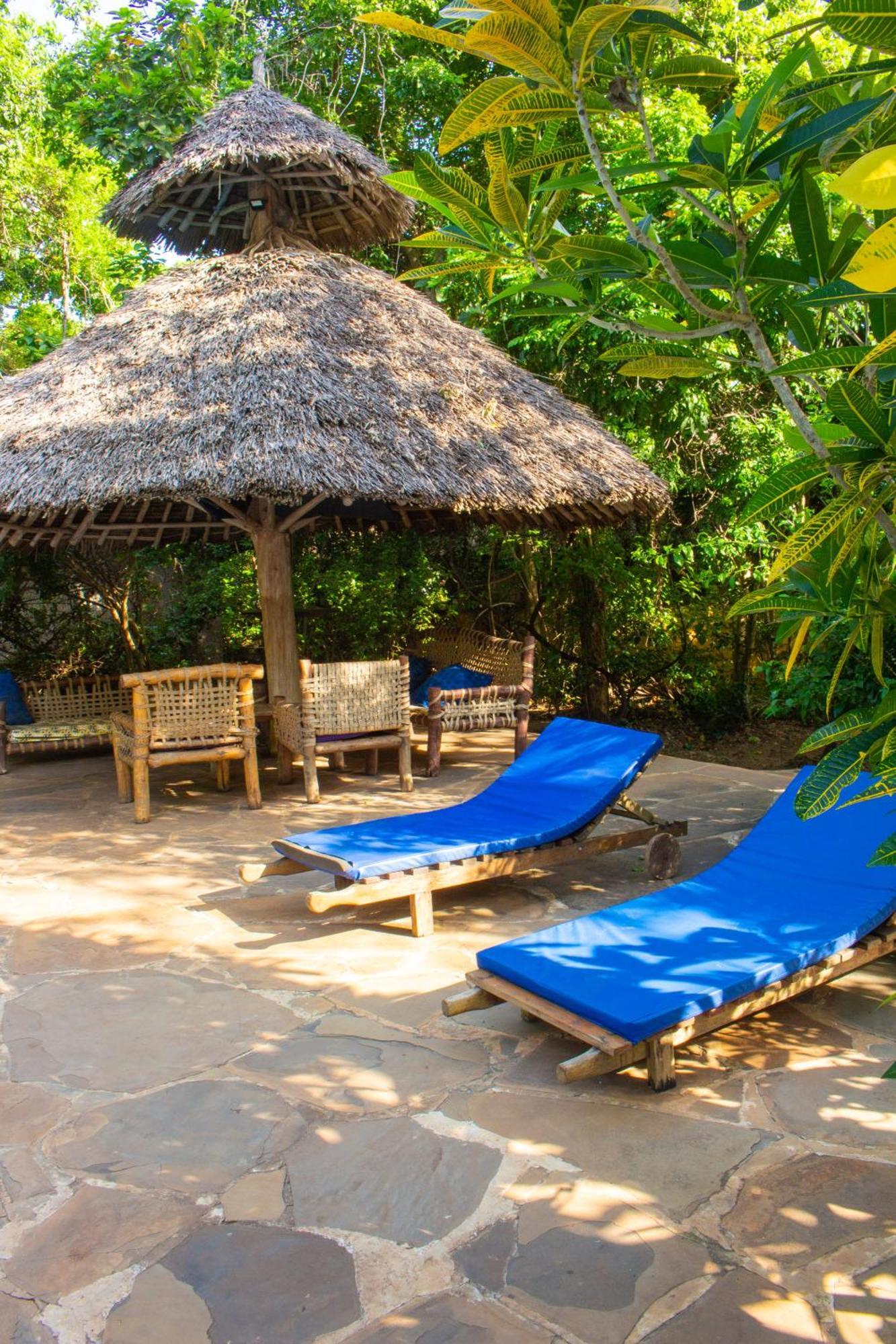 Vila Firefly Eco Retreat Shimoni Exteriér fotografie